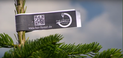 FairForest Gütesiegel